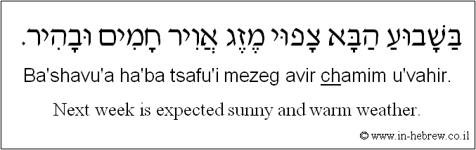 English to Hebrew: Next week is expected sunny and warm weather.