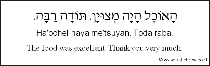English to Hebrew: The food was excellent. Thank you very much.