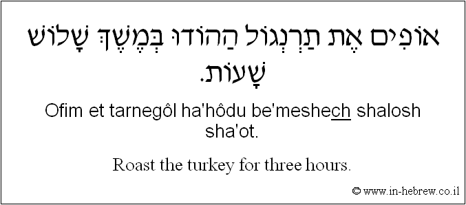 English to Hebrew: Roast the turkey for three hours.