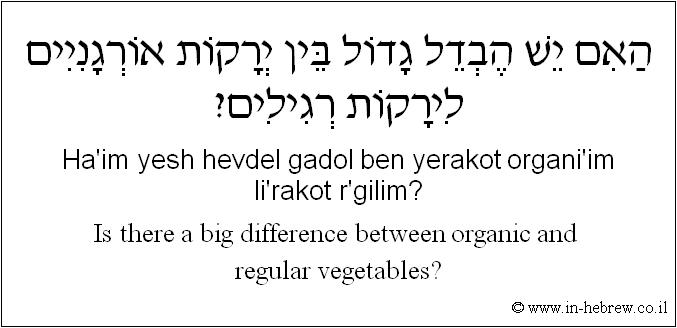 English to Hebrew: Is there a big difference between organic and regular vegetables?