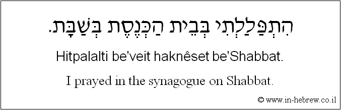 English to Hebrew: I prayed in the synagogue on Shabbat.