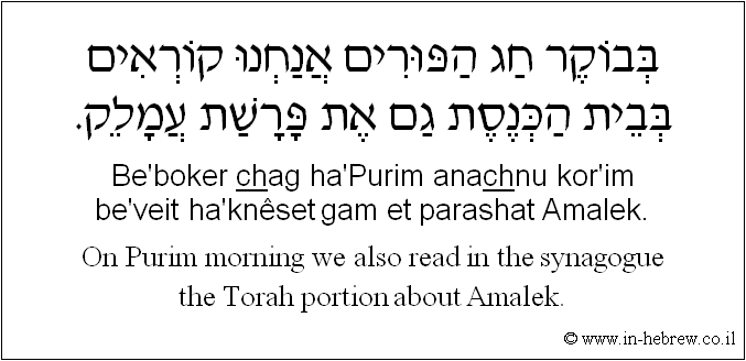 English to Hebrew: On Purim morning we also read in the synagogue the Torah portion about Amalek.