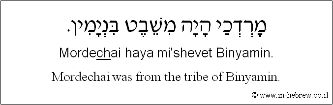 English to Hebrew: Mordechai was from the tribe of Binyamin.