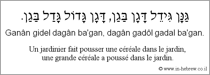 Français à l'hébreu: Un jardinier fait pousser une céréale dans le jardin, une grande céréale a poussé dans le jardin.