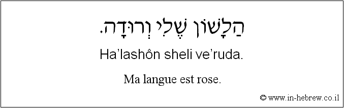 Français à l'hébreu: Ma langue est rose.