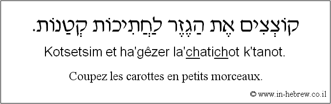 Français à l'hébreu: Coupez les carottes en petits morceaux.