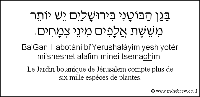 Français à l'hébreu: Le Jardin botanique de Jérusalem compte plus de six mille espèces de plantes.