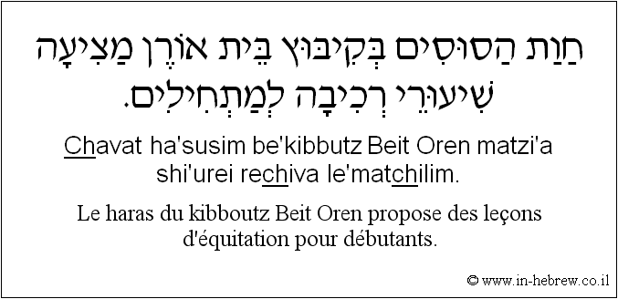 Français à l'hébreu: Le haras du kibboutz Beit Oren propose des leçons d'équitation pour débutants.