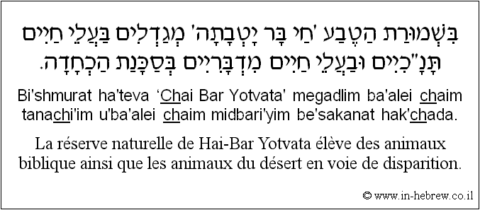 Français à l'hébreu: La réserve naturelle de Hai-Bar Yotvata élève des animaux biblique ainsi que les animaux du désert en voie de disparition.