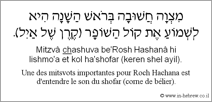 Français à l'hébreu: Une des mitsvots importantes pour Roch Hachana est d'entendre le son du shofar (corne de bélier).