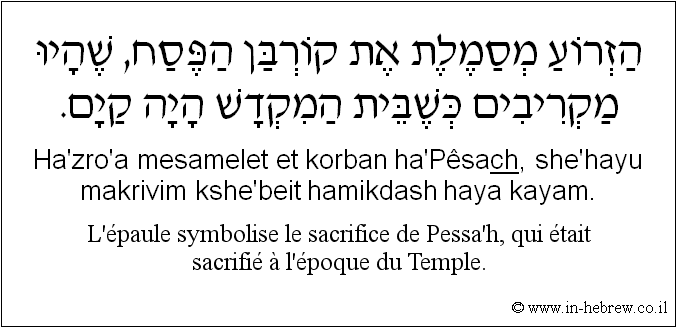 Français à l'hébreu: L’épaule symbolise le sacrifice de Pessa’h, qui était sacrifié à l’époque du Temple.