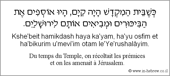 Français à l'hébreu: Du temps du Temple, on récoltait les prémices et on les amenait à Jérusalem.