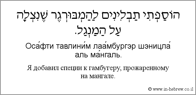 Иврит и русский: Я добавил специи к гамбугеру, прожаренному на мангале