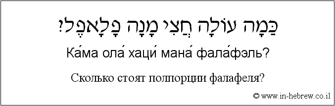 Иврит и русский: Сколько стоят полпорции фалафеля?