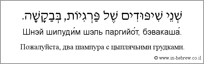 Иврит и русский: Пожалуйста, два шампура с цыплячьими грудками
