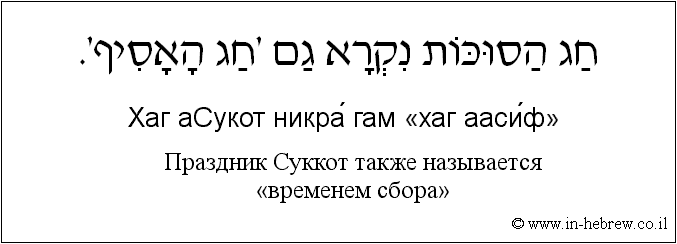 Иврит и русский: Праздник Суккот также называется «временем сбора»