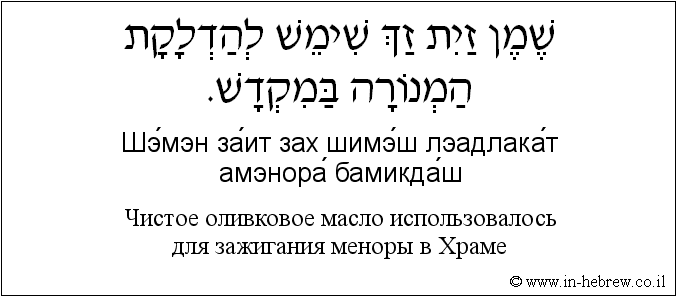 Иврит и русский: Чистое оливковое масло использовалось для зажигания меноры в Храме