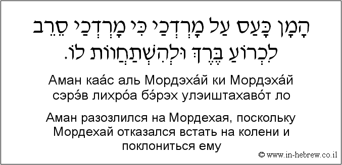 Иврит и русский: Аман разозлился на Мордехая, поскольку Мордехай отказался встать на колени и поклониться ему