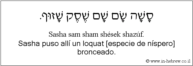 Español y hebreo: Sasha puso allí un loquat [especie de níspero] bronceado.