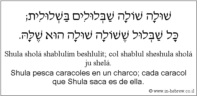 Español y hebreo: Shula pesca caracoles en un charco; cada caracol que Shula saca es de ella.