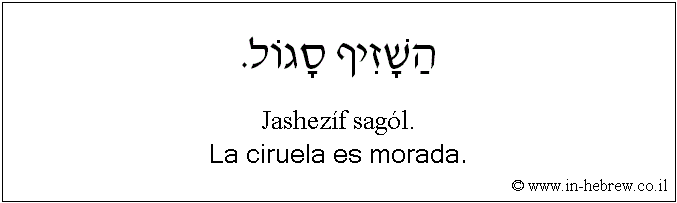 Español y hebreo: La ciruela es morada.