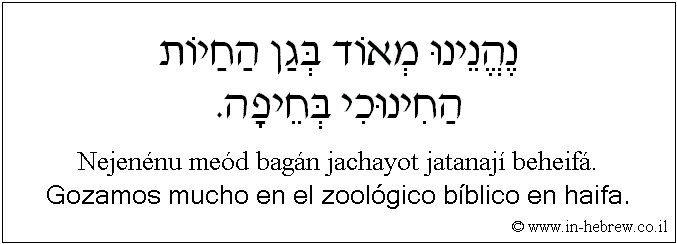 Español y hebreo: Gozamos mucho en el zoológico bíblico en haifa.