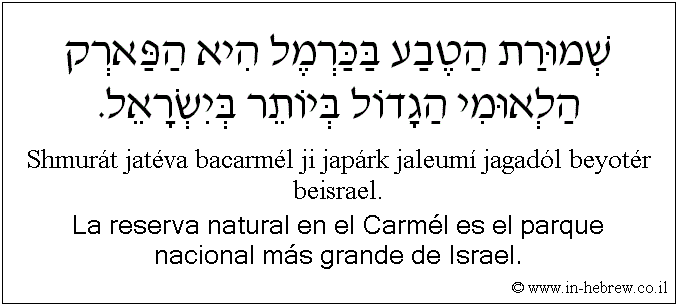 Español y hebreo: La reserva natural en el Carmél es el parque nacional más grande de Israel.