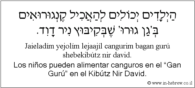 Español y hebreo: Los niños pueden alimentar canguros en el “Gan Gurú” en el Kibútz Nir David.