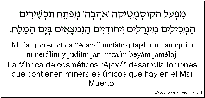 Español y hebreo: La fábrica de cosméticos “Ajavá” desarrolla lociones que contienen minerales únicos que hay en el Mar Muerto.