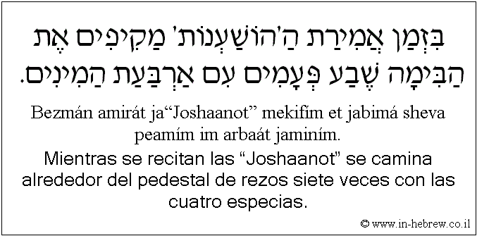 Español y hebreo: Mientras se recitan las “Joshaanot” se camina alrededor del pedestal de rezos siete veces con las cuatro especias.