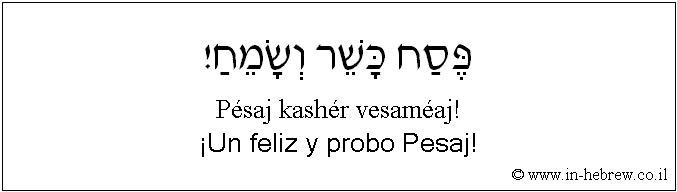 Español y hebreo: ¡Un feliz y probo Pesaj!