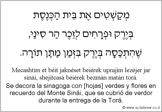 Español y hebreo: Se decora la sinagoga con [hojas] verdes y flores en recuerdo del Monte Sinái, que se cubrió de verdor durante la entrega de la Torá.